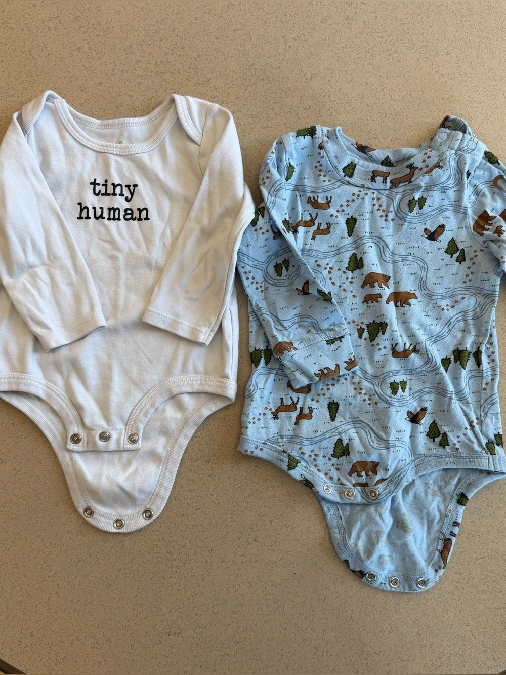 Bundle of 2 Baby Boys One Piece Bodysuit Set Outfits 12M Carhartt and Tiny Human